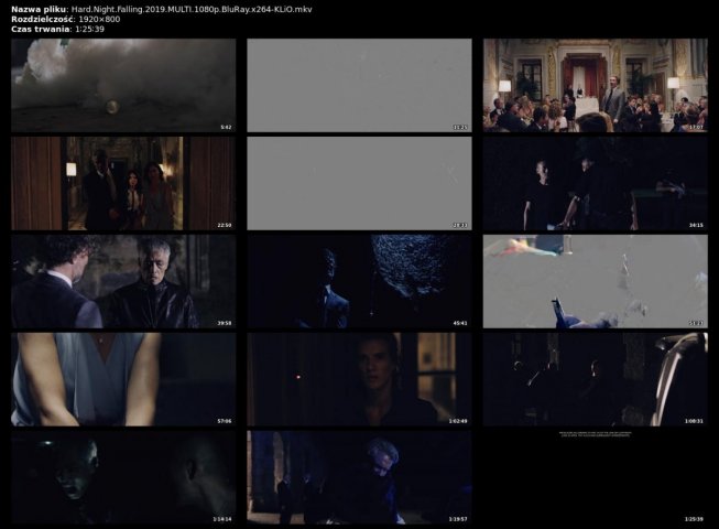 Galeria-Hard.Night.Falling.2019.MULTI.1080p.BluRay.x264-KLiO.mkv-1.jpg