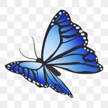 pngtree-blue-butterfly-illustration-image_1394462.jpg.dcbcca3cc4c312346b5894926f5e4991.jpg